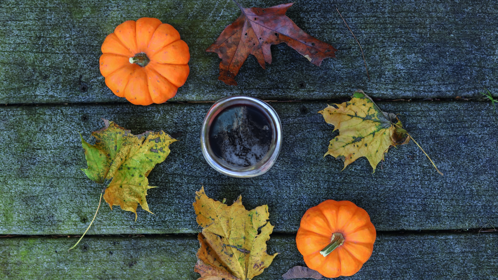Autumn Stout Autumn Stout