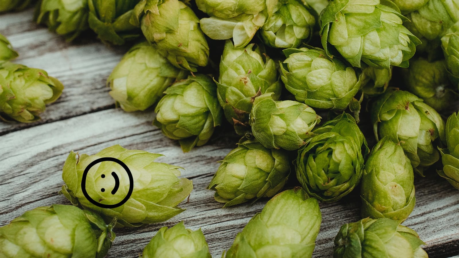 Heading Towards Hoppy Happiness!