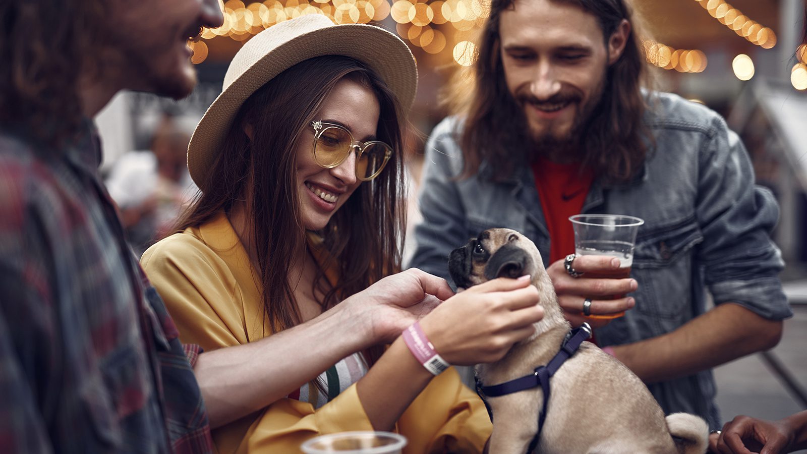 Questions, Puppies & Other Upcoming Events Questions, Puppies & Other Upcoming Events