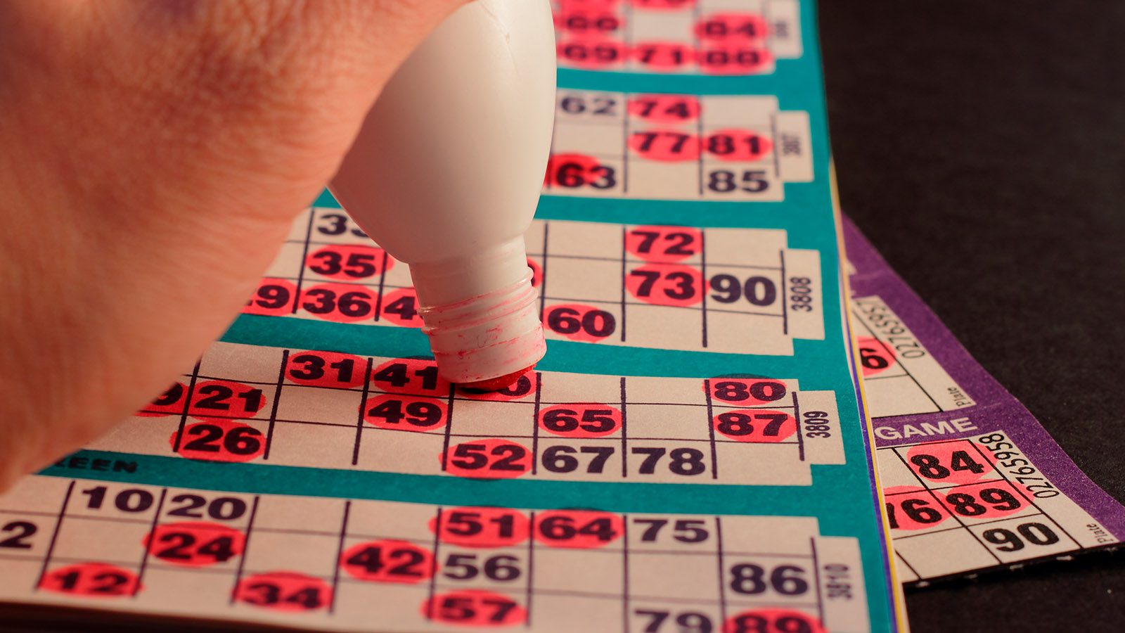 Bingo-HEAD-WD
